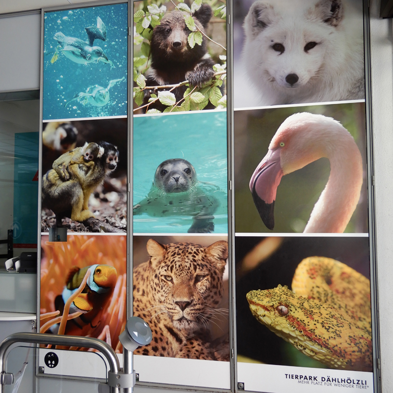 L'affichage L'affichage