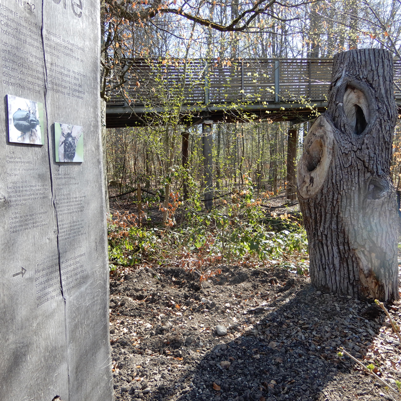 La passerelle qui mène aux buffles et cerfs La passerelle qui mène aux buffles et cerfs