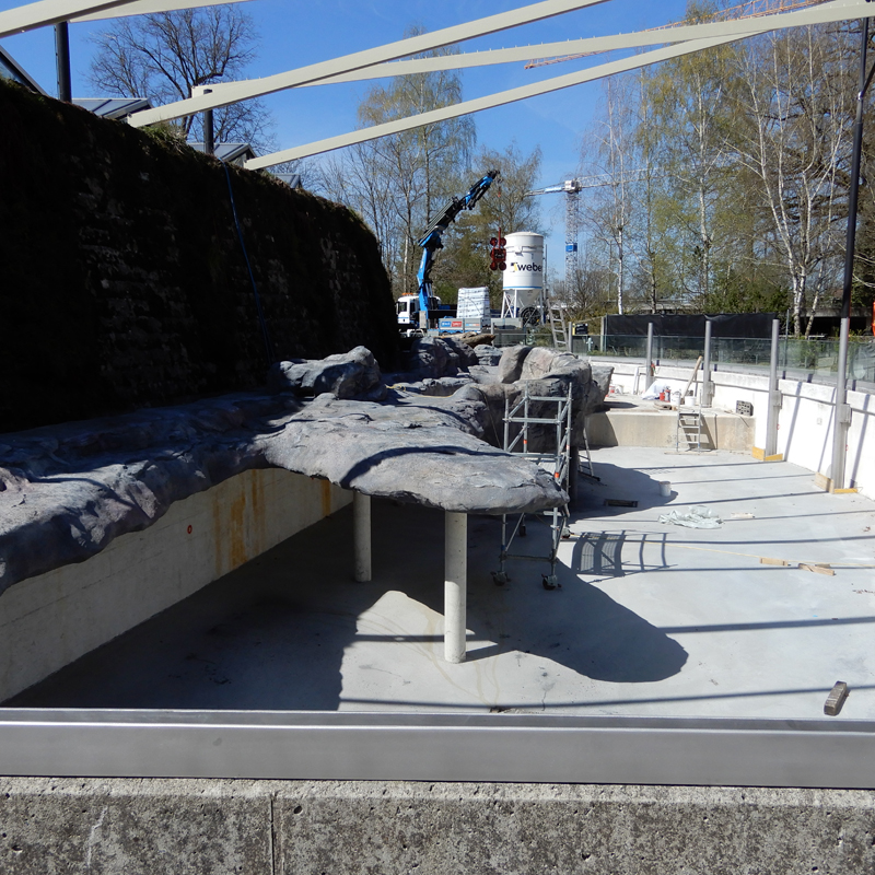 Le futur emplacement des phoques Le futur emplacement des phoques