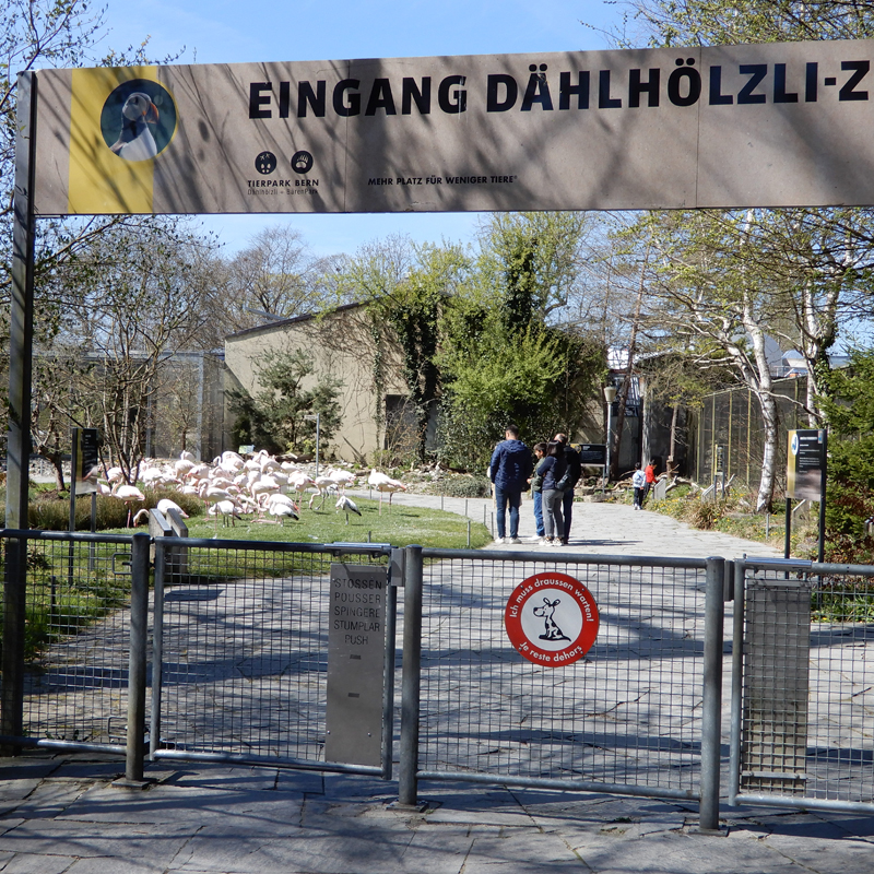 L'entrée L'entrée